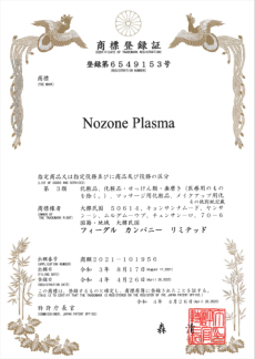 Nozone Plasma (일본)